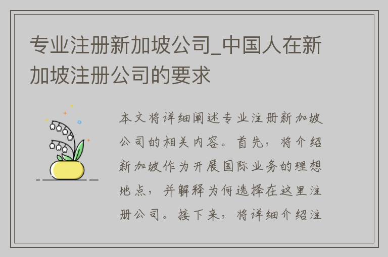 专业注册新加坡公司_中国人在新加坡注册公司的要求